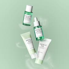 Tea-Trica Travel Kit – SKIN1004 2